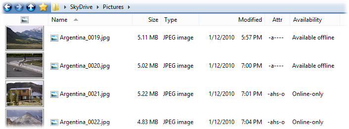 SkyDrive Files.png SkyDrive Files.png